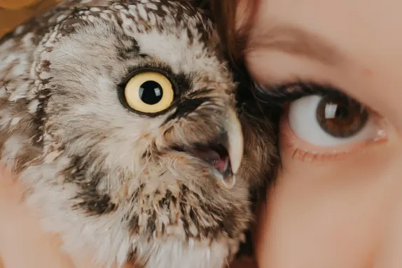 Casino Royal Winner Supporto